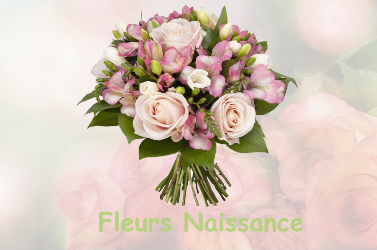 fleurs naissance SAINT-PIERRE-DES-FLEURS